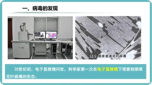 人教版生物七年级上册2.3.4《病毒》课件(共19张PPT)+视频素材