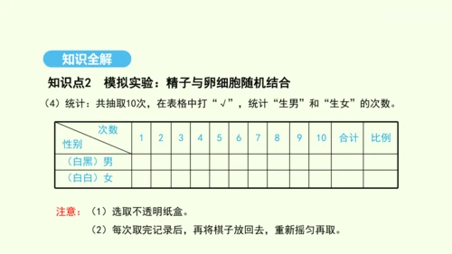 7.2.4人的性别遗传课件-人教版生物八年级下册(共31张PPT)
