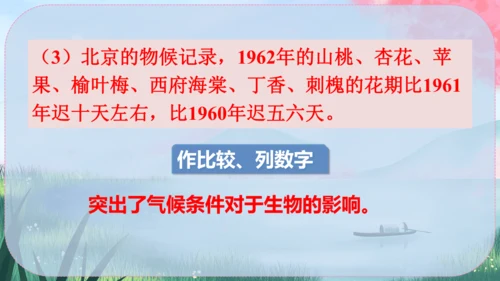 5《大自然的语言》课件