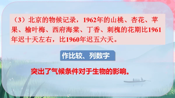5《大自然的语言》课件