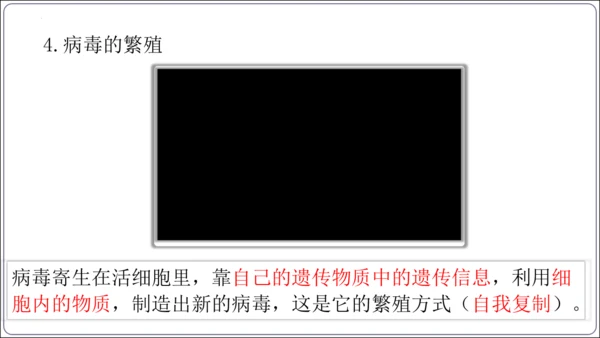 5.5第五章 病毒【2024秋人教八上生物精彩课堂（课件内嵌视频）】(共28张PPT)
