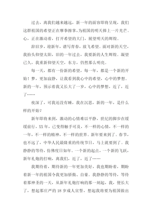 有关迎新年的作文.docx