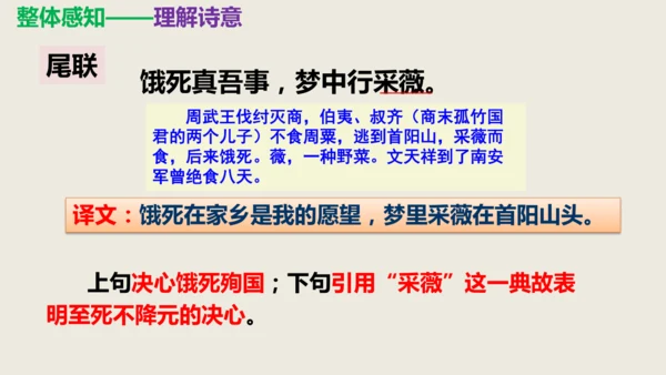 部编版九下语文第六单元课外古诗之《南安军》 同步课件