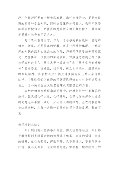 教师培训总结_49.docx