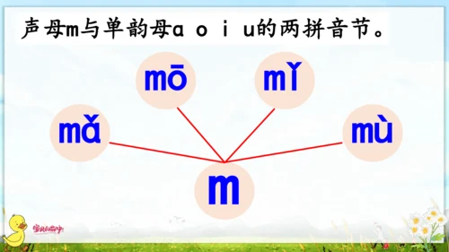 汉语拼音3  b p m f 课件