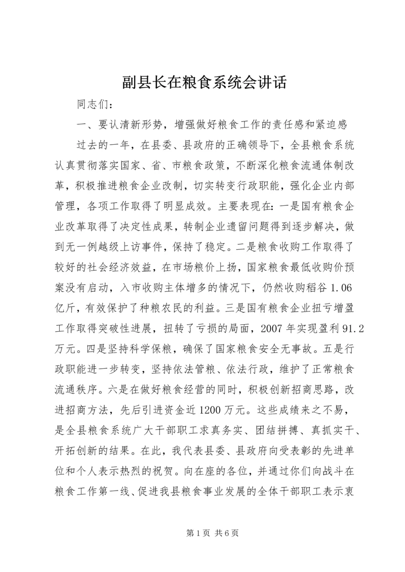 副县长在粮食系统会讲话.docx