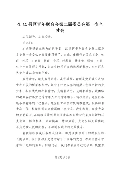 在XX县区青年联合会第二届委员会第一次全体会.docx