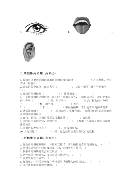 教科版小学科学二年级下册 期末测试卷ab卷.docx