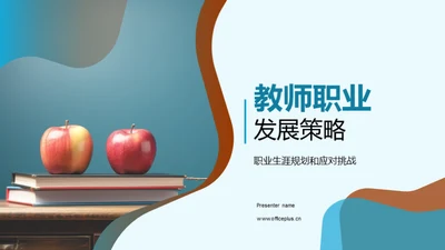 教师职业发展策略