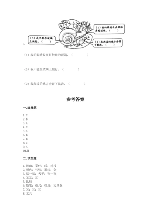 教科版一年级下册科学期末测试卷精品【基础题】.docx