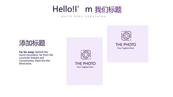 紫色财产保险金融理财工作总结PPT