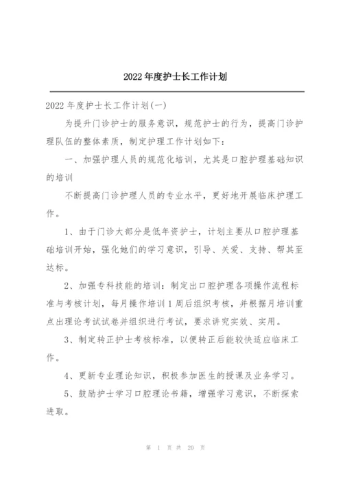 2022年度护士长工作计划.docx