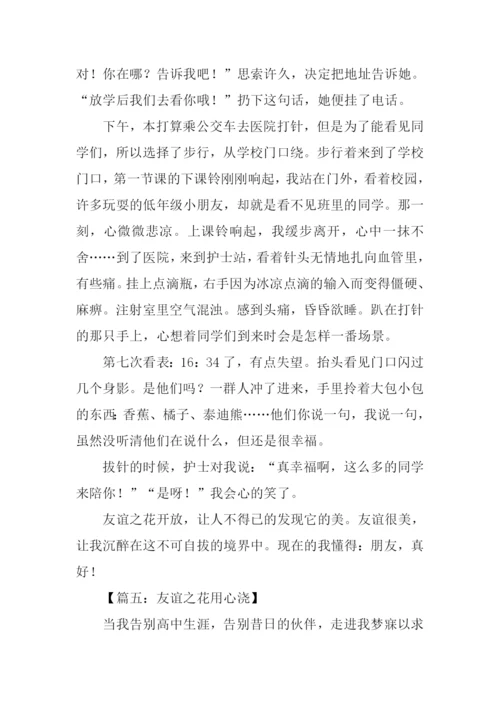 友谊之花作文800字.docx