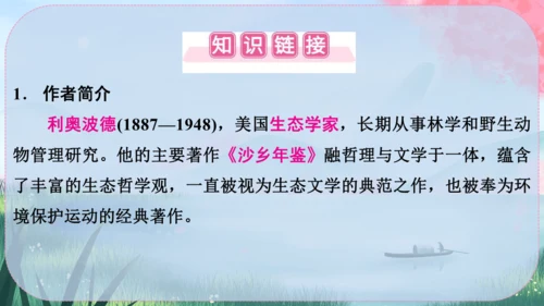 19《大雁归来》课件