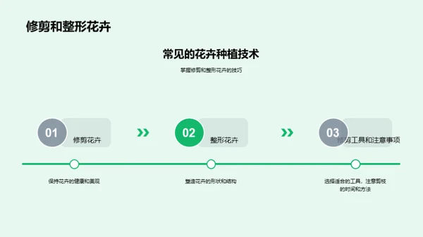 花卉种植与养护秘籍