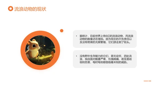 关爱流浪动物，流浪猫PPT模版