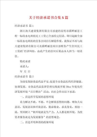 关于经济承诺书合集5篇