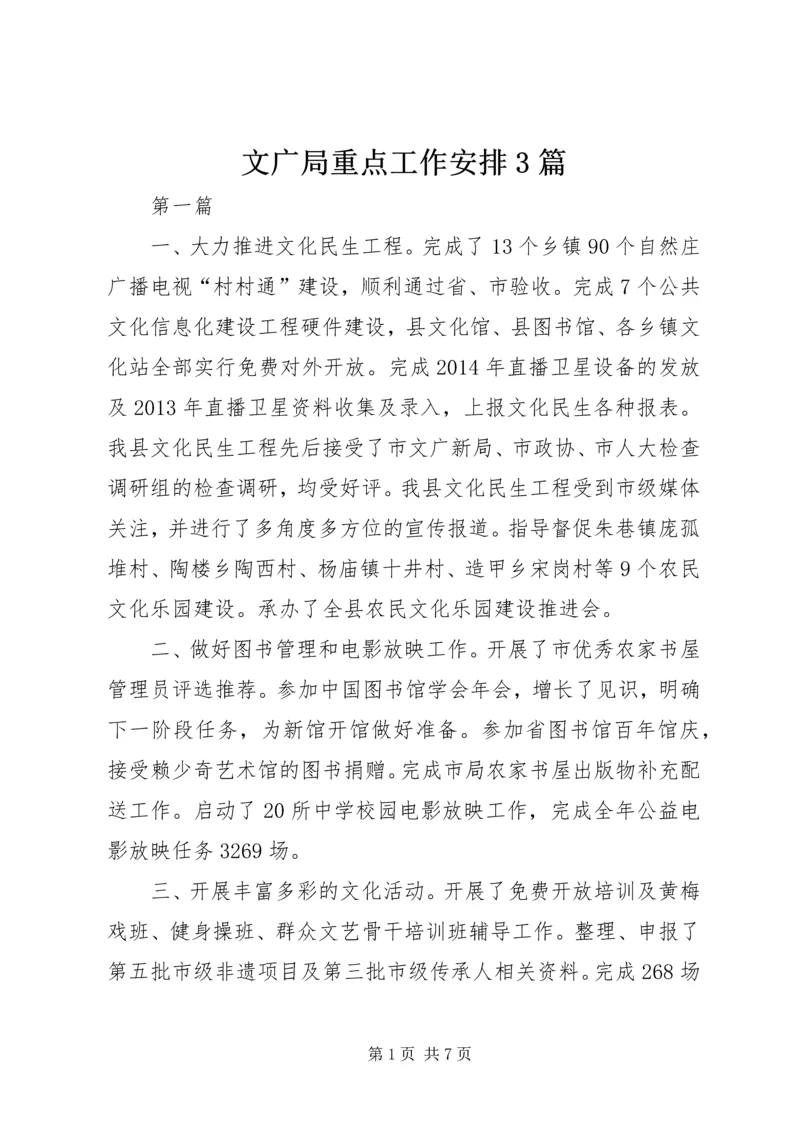 文广局重点工作安排3篇.docx