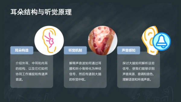 3《口耳目手足》课件