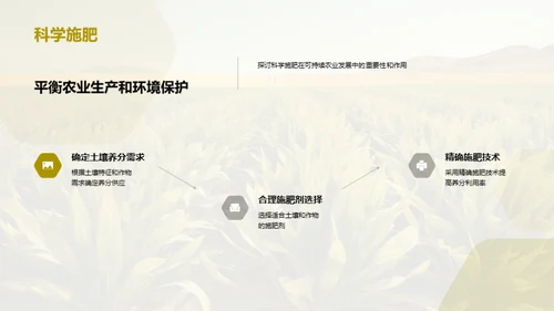 可持续农业发展的路径选择