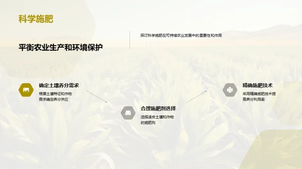 可持续农业发展的路径选择