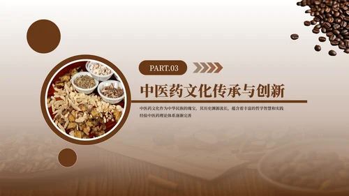 褐色中医药文化传承PPT模板
