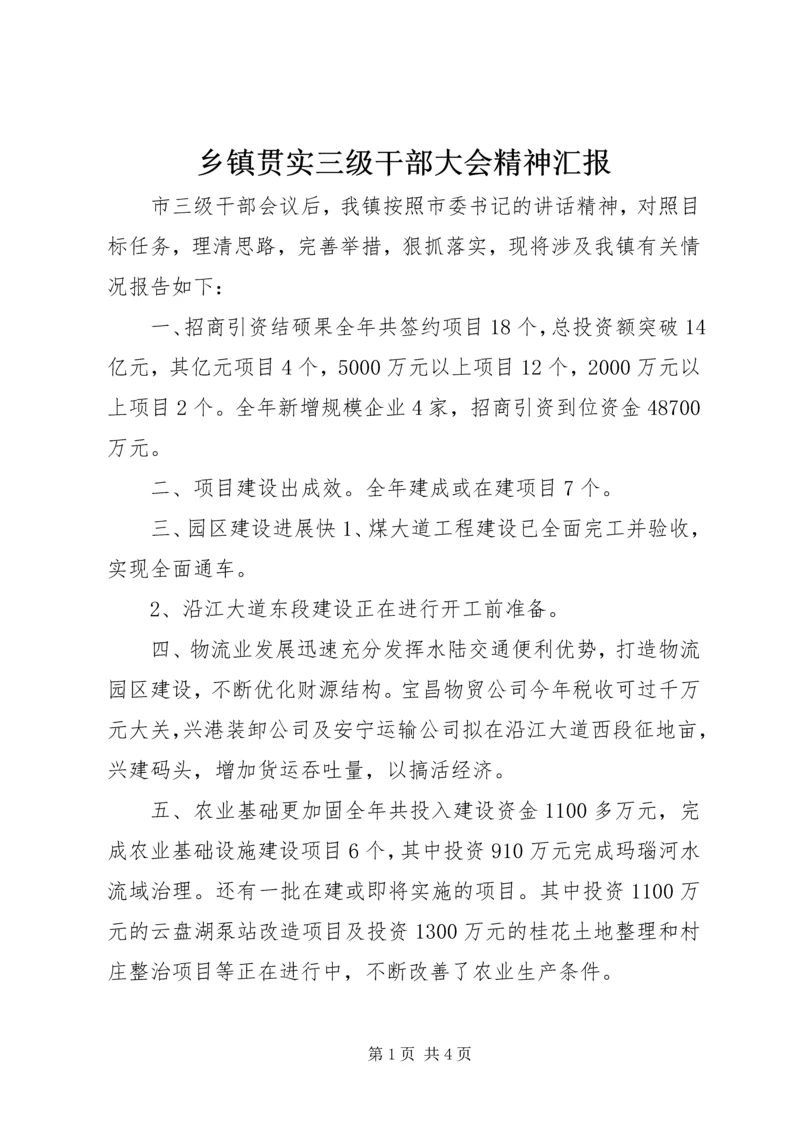 乡镇贯实三级干部大会精神汇报.docx