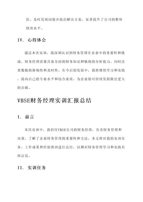 vbse财务经理实训汇报总结