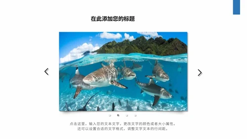 商务风格世界海洋日PPT模板