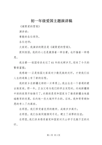 初一年级爱国主题演讲稿 (3).docx