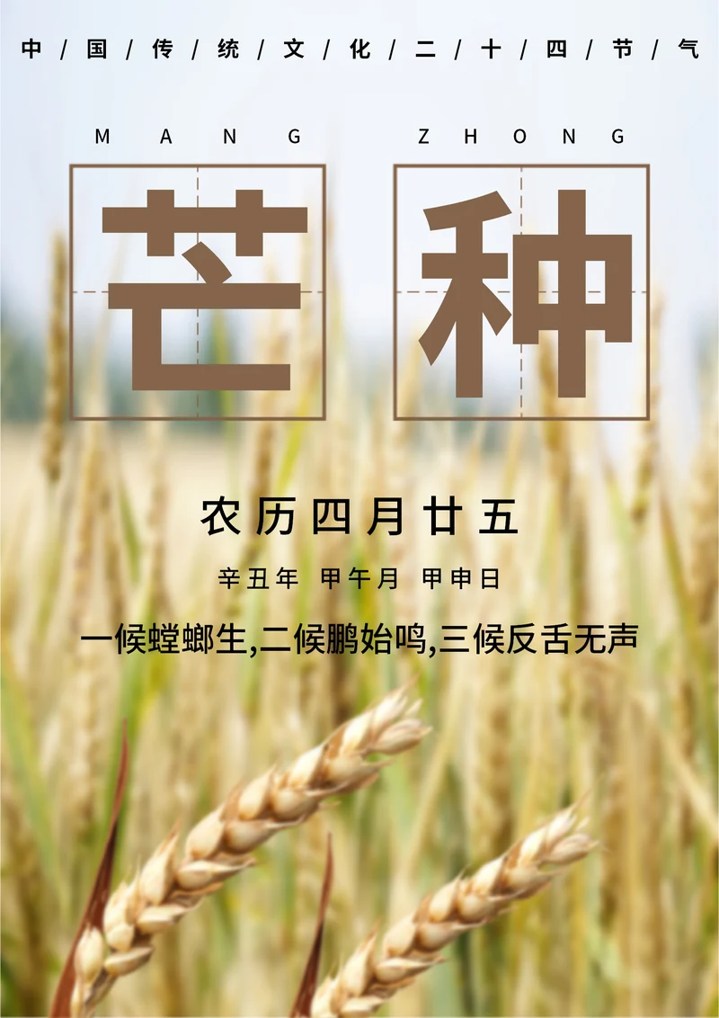 白色简约风芒种节气海报