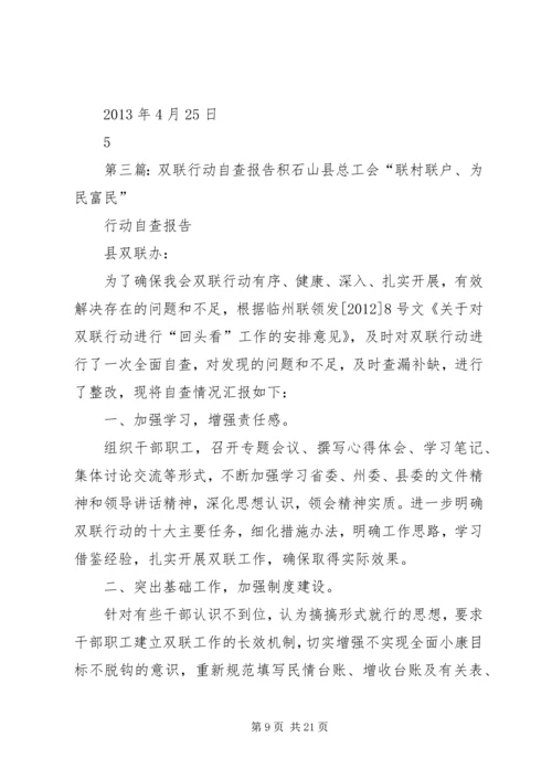 双联双民自查报告.docx