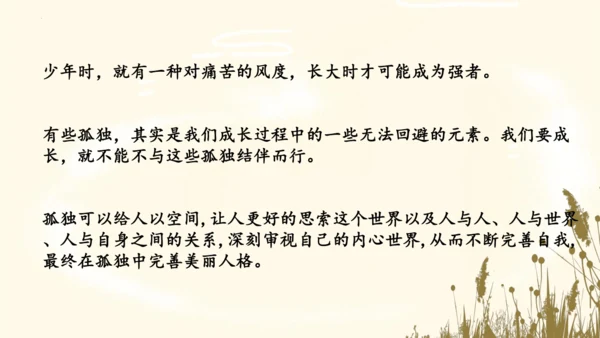 17《孤独之旅》课件(共15张PPT)