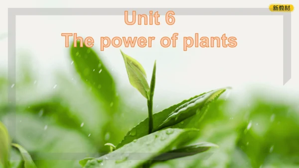 Unit 6 The power of plants Presenting ideas 课件 外研版