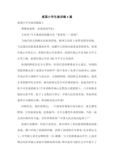 爱国小学生演讲稿5篇.docx
