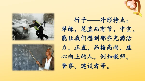 2 落花生    课件