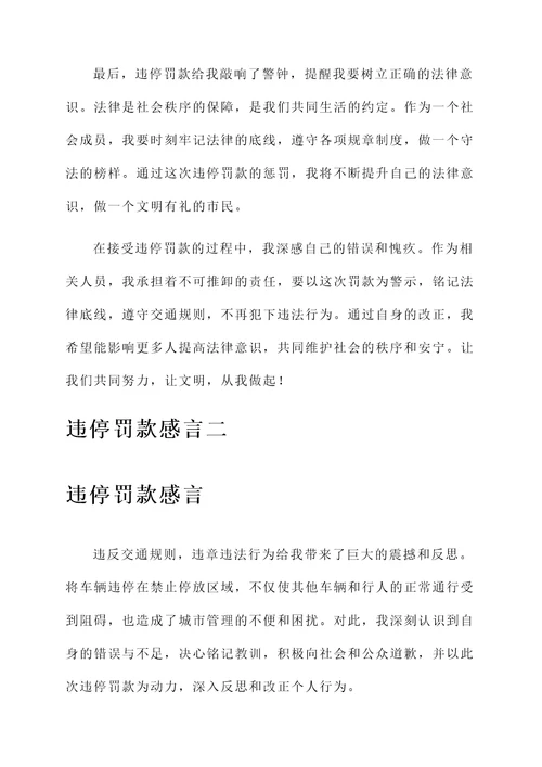 违停罚款感言