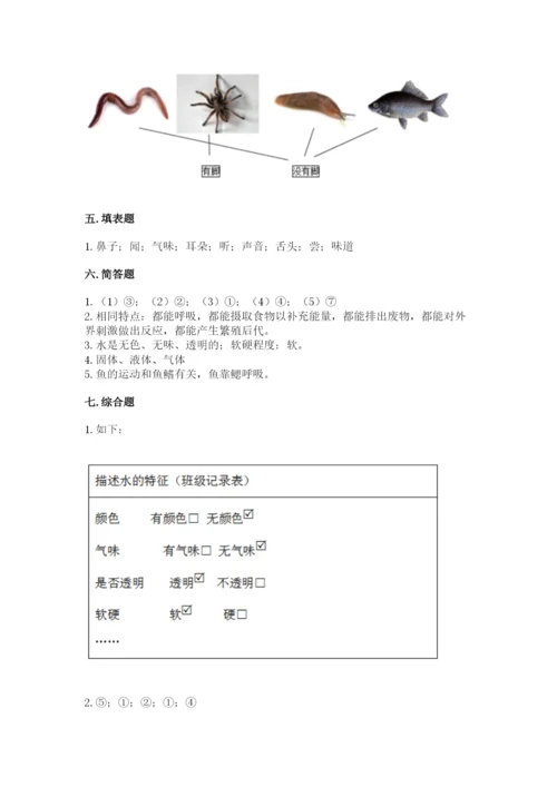 教科版小学科学一年级下册期末测试卷【夺冠】.docx