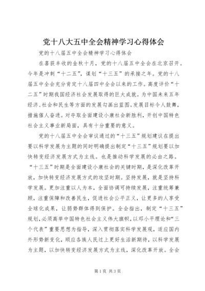党十八大五中全会精神学习心得体会_1.docx