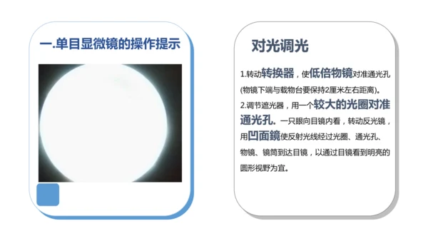 人教版（2024）七年级上册1.2.1 学习使用显微镜 课件(共29张PPT)