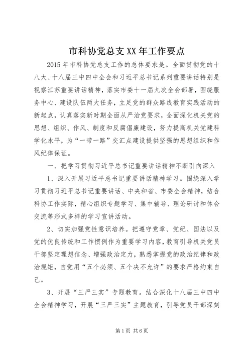 市科协党总支XX年工作要点.docx