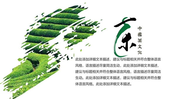 清新绿茶茶文化采茶茶道茶艺茶文化PPT模板