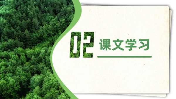 绿色简约实拍要是你在野外迷了路二年级语文下册说课PPT课件小学语文二年级下册课件