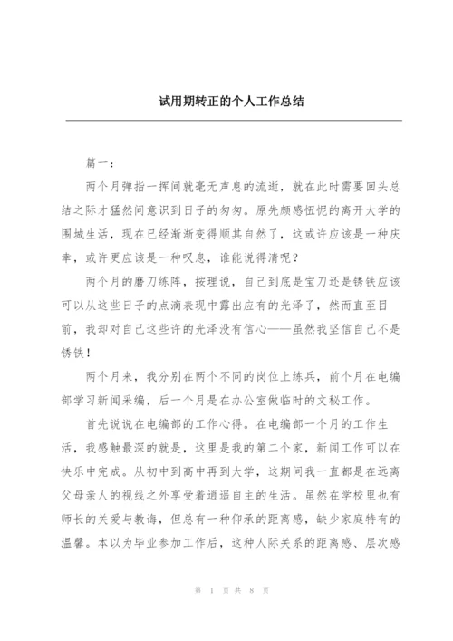 试用期转正的个人工作总结.docx