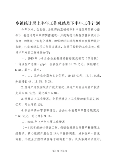 乡镇统计局上半年工作总结及下半年工作计划.docx