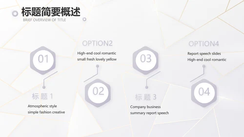 公司品牌策划方案工作总结计划PPT