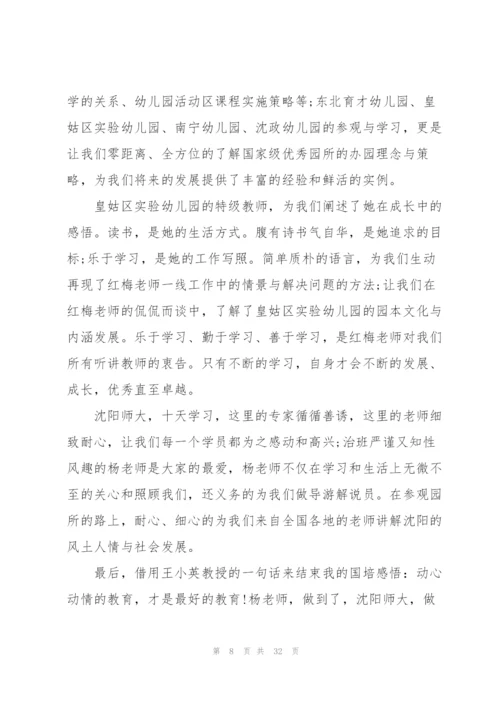 幼儿教师研修心得体会13篇.docx
