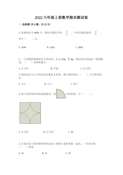 2022六年级上册数学期末测试卷含完整答案【典优】.docx