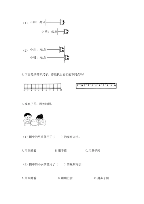 教科版一年级上册科学期末测试卷（b卷）.docx
