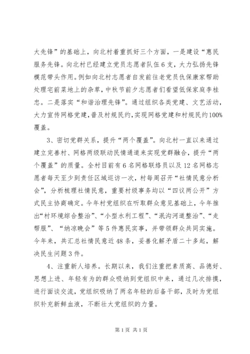 村党组织书记抓基层党建工作述职报告.docx